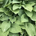 Arctic Garden Гостевой дом Лёдинген