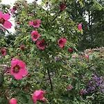 Arctic Garden Гостевой дом *
