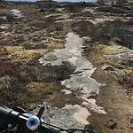 Gæstehus Arctic Garden Lodingen