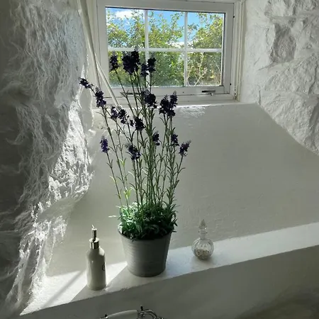 Arctic Garden Guest house *