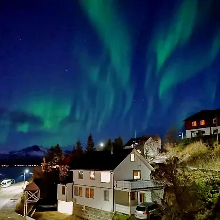 Arctic Garden Guest house Lodingen