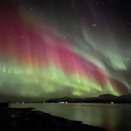 Arctic Garden לודינגן