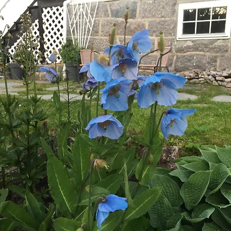 Guest house Arctic Garden