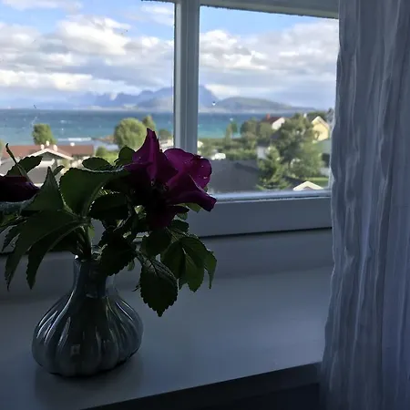 Arctic Garden Konukevi