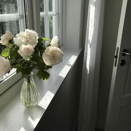 Konukevi Arctic Garden *