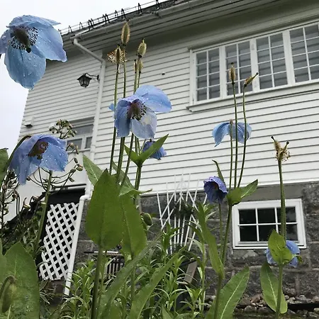 Arctic Garden Konukevi *