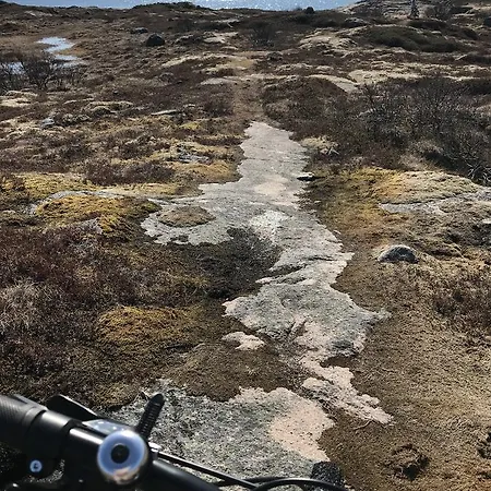 Konukevi Arctic Garden Lodingen