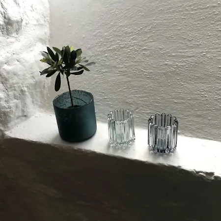 Arctic Garden