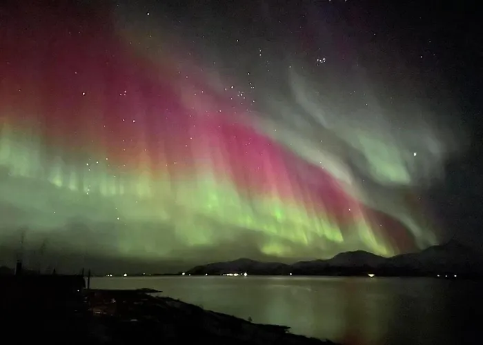 Arctic Garden לודינגן