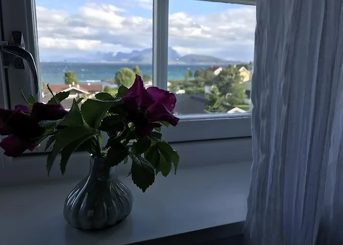 Arctic Garden בית הארחה