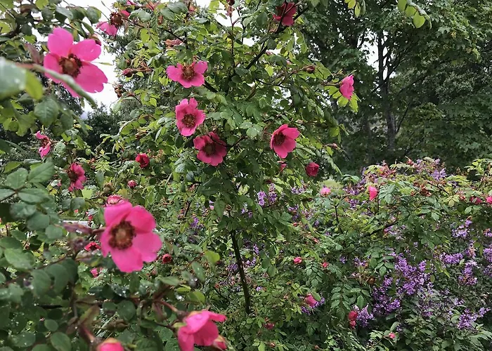 Arctic Garden בית הארחה *