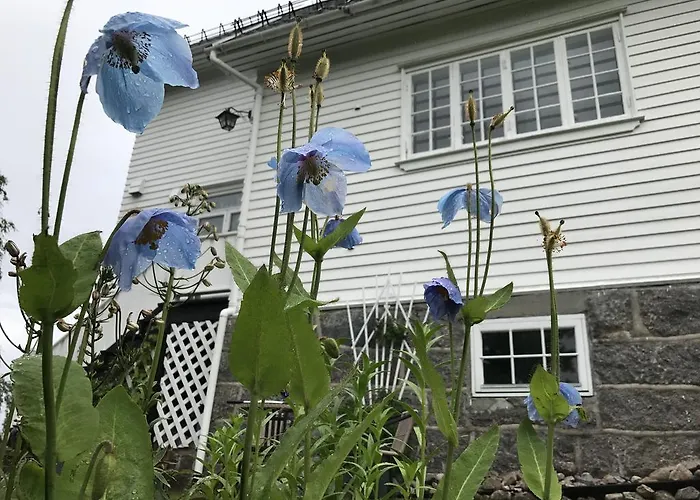 Arctic Garden בית הארחה *