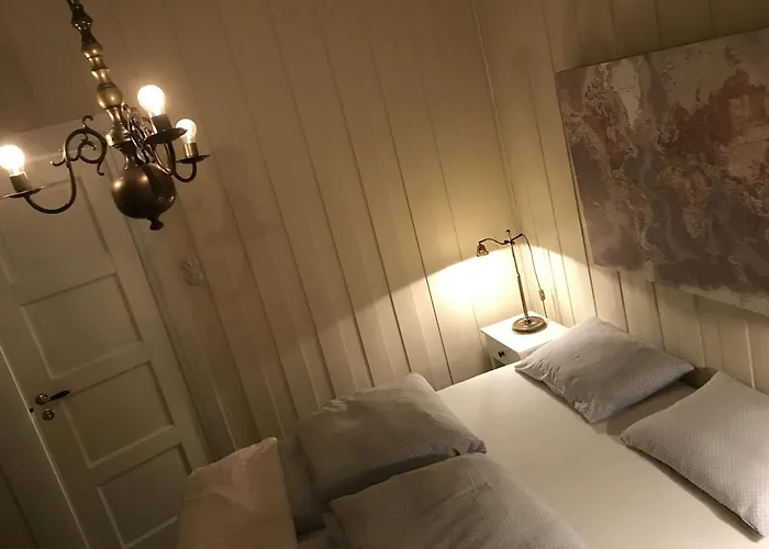 Arctic Garden בית הארחה לודינגן