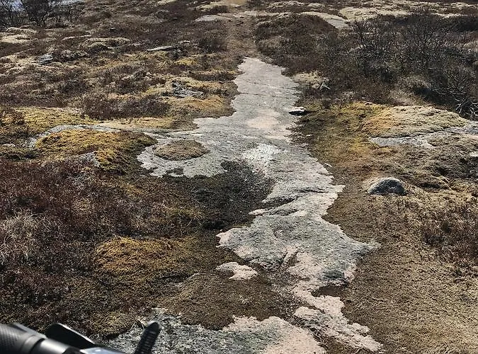 Penzion Arctic Garden Lodingen